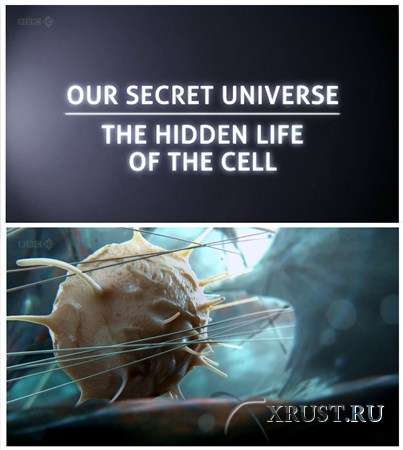 Our Secret Universe: The Hidden Life of the Cell on Youtube