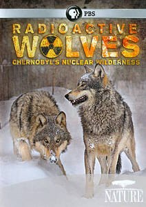 Pbs Radioactive Wolves Student Worksheet